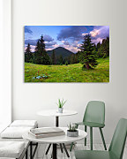 Obraz Prekrásna príroda zs1346